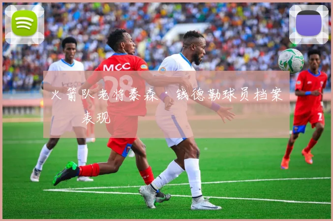 火箭队老将泰森·钱德勒球员档案与表现