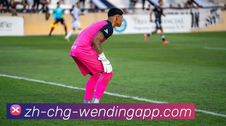 火箭队历年季后赛战绩统计与晋级情况一览